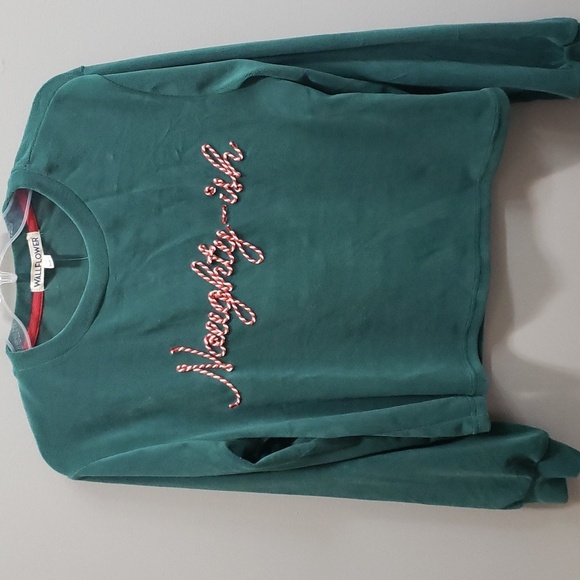 Wallflower NWT Pine Green Velour Cropped "Naughty-ish" Long Sleeve Top - Picture 1 of 6